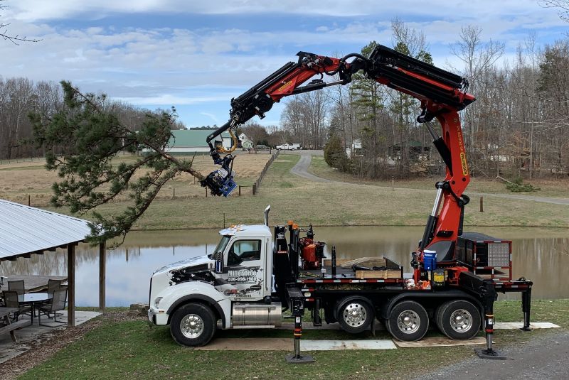 Emergency Tree Removal