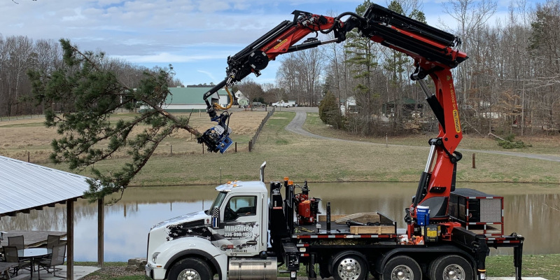 Emergency Tree Removal in Bermuda Run, North Carolina