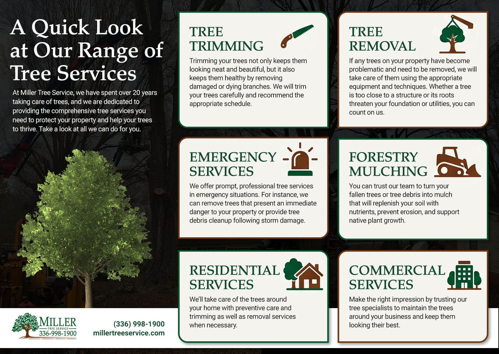 A Quick Look at Our Range of Tree Services